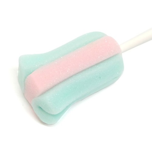 45x60x250mm ポット・ボトルクリーナー(10本)【EA928AG-33B】