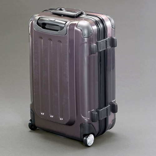 480x300x700(H)mm/100L キャリーケース【EA927DF-2A】