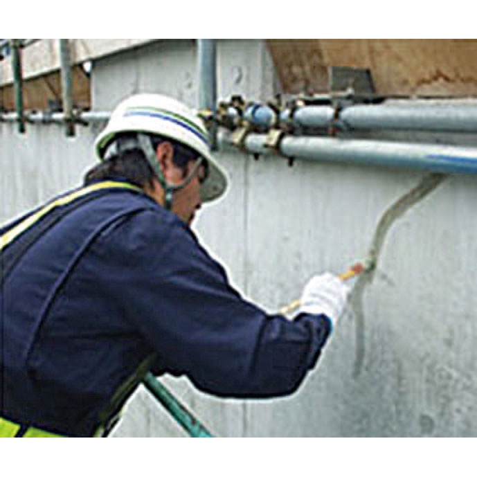 50gx64 コンクリートひび割れ補修剤(エポキシ/夏)【EA934KC-11BA】