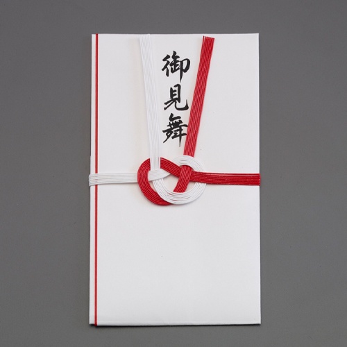 お見舞い用袋(10枚)【EA762GC-121】