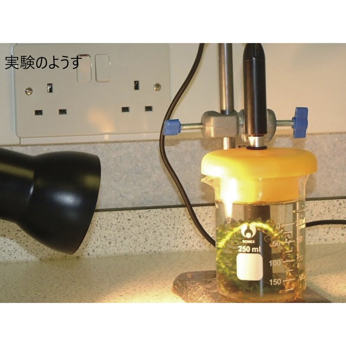 溶存酸素センサ(イージーセンス)【E31-6990-06】