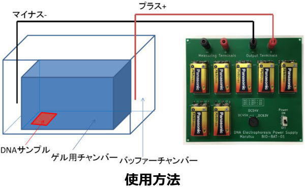 回路図