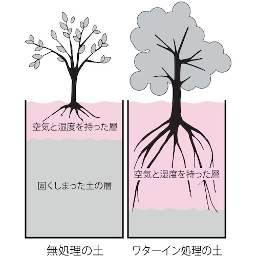 回路図