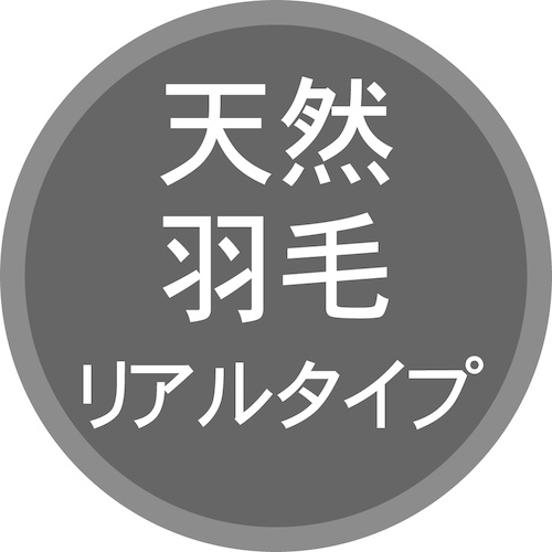 回路図