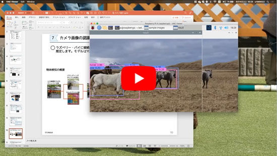 セミナで学ぶこと【WEBライブ・セミナ】ラズベリー・パイで学ぶエッジAIプログラミング入門