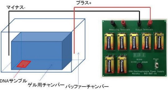 学校教材用のDNA電気泳動電源