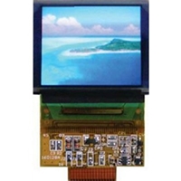 最新記事イメージ01