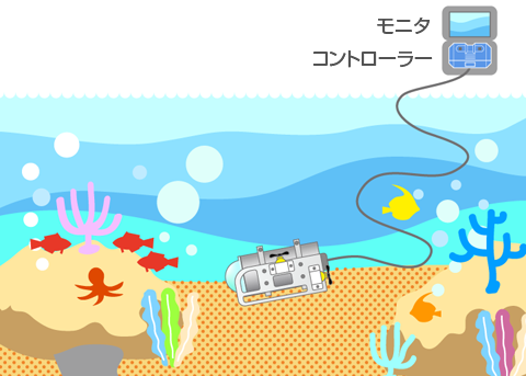 水中撮影のようす